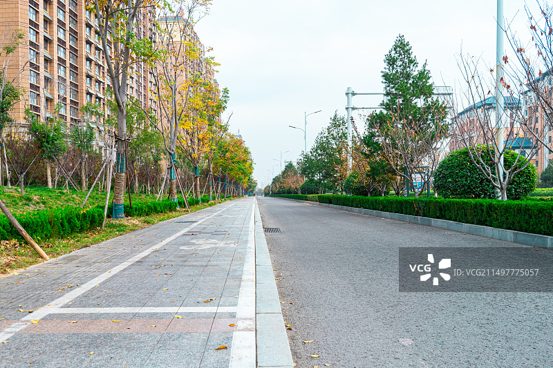 中国城市交通拍摄主题，秋天的城市街道，平坦的柏油路，人行道上的自行车图标，户外白昼无人白昼图像摄影图片素材