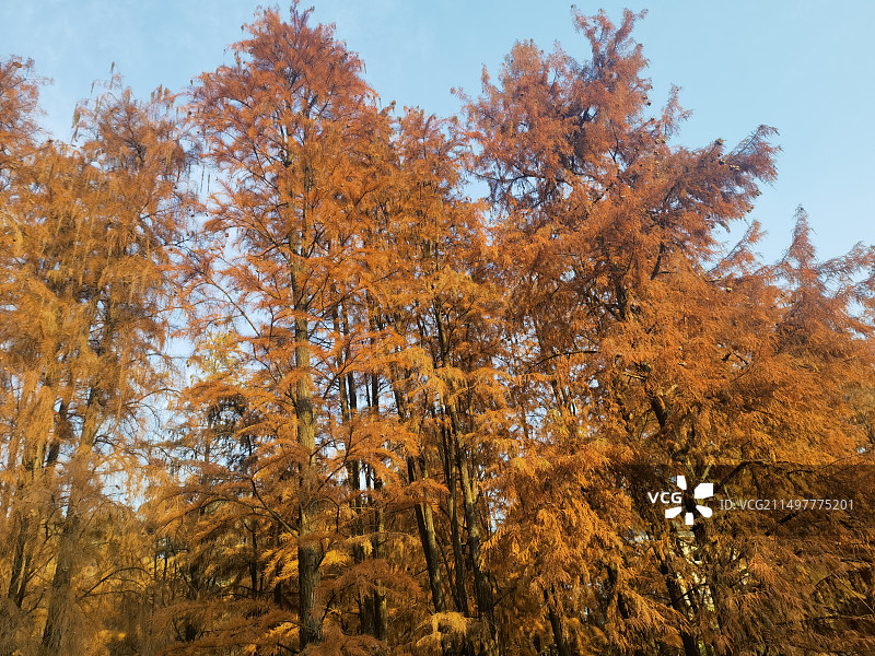 临安青山湖绿道图片素材