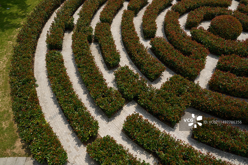 俯拍花园里的植物迷宫图片素材