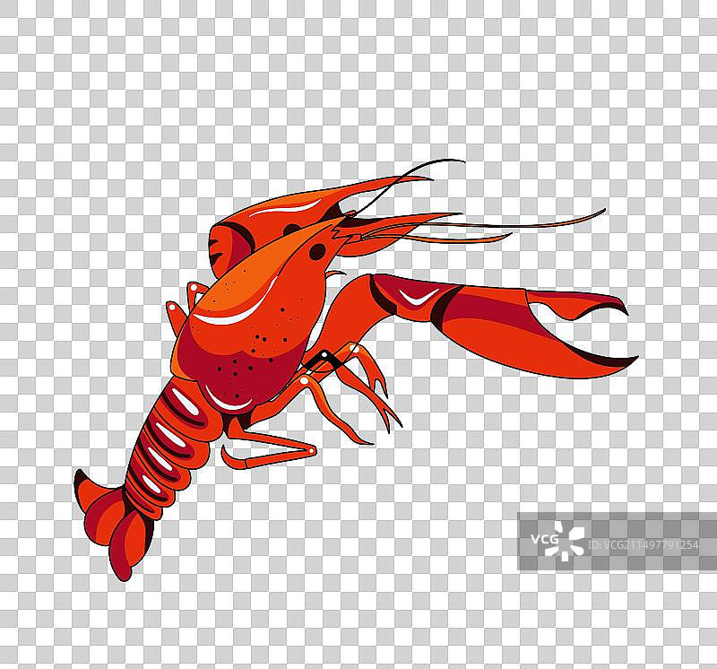 一只红色的小龙虾美食插画图片素材