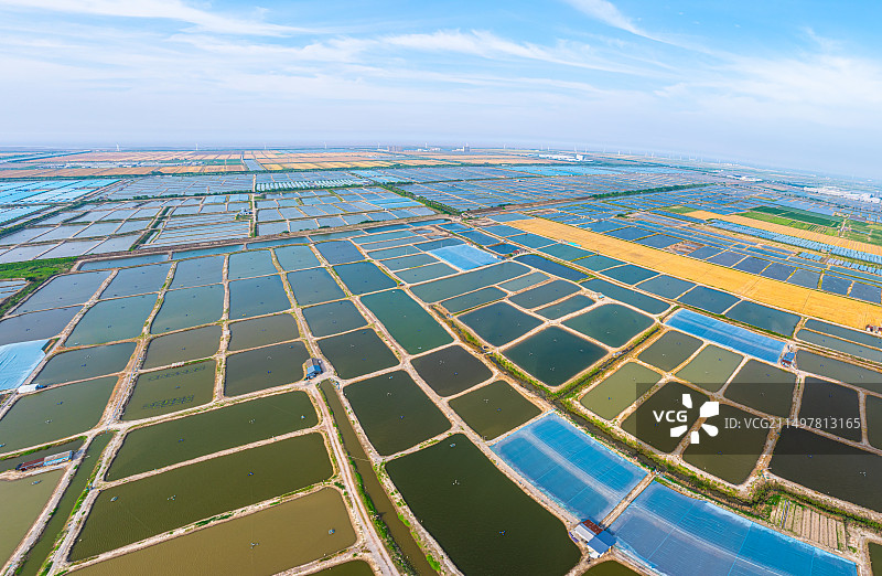 慈溪水产养殖水塘图片素材