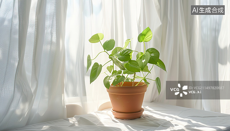 【AI数字艺术】家里窗台上盆栽植物的特写镜头图片素材