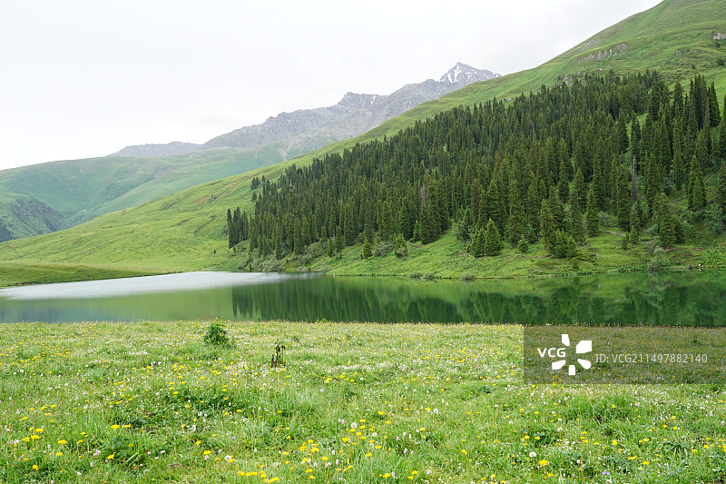 唐布拉草原图片素材