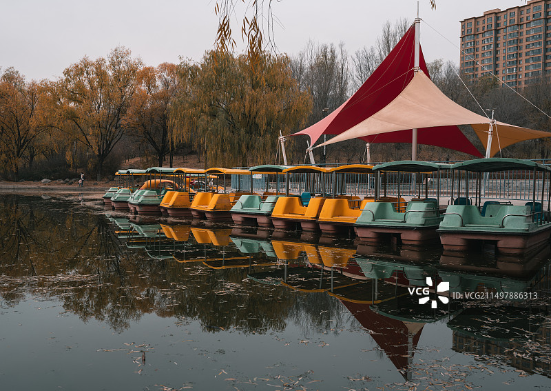 阿尔泰公园的秋天图片素材