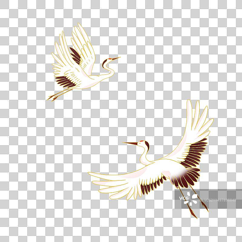 两只正在飞翔的仙鹤图片素材