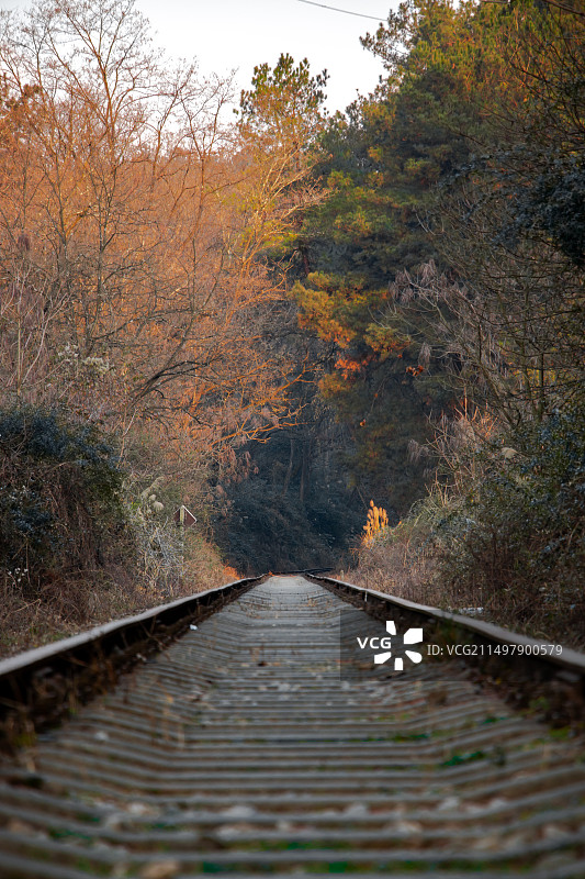 开向哪里呢图片素材