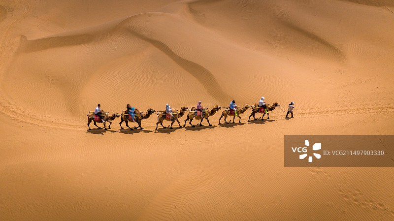 宁夏中卫沙坡头骑骆驼图片素材