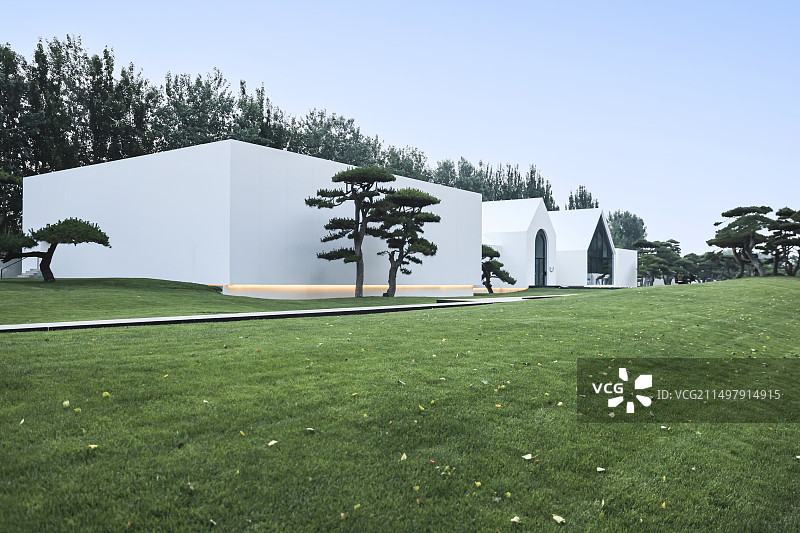 北京松美术馆无人绿草地松树植物图片素材