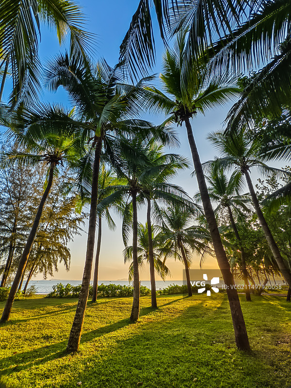 热带风光图片素材