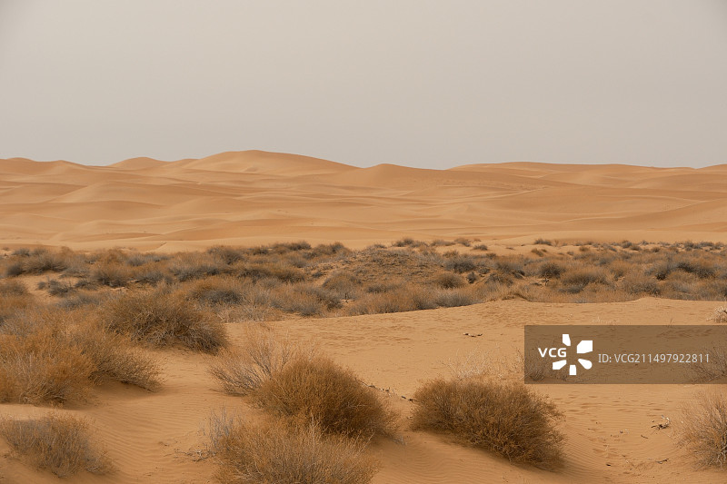 腾格里沙漠的壮阔风景图片素材