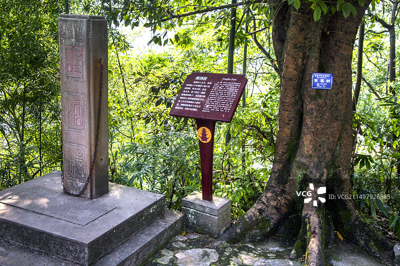 重庆忠县白公祠文博景区图片素材