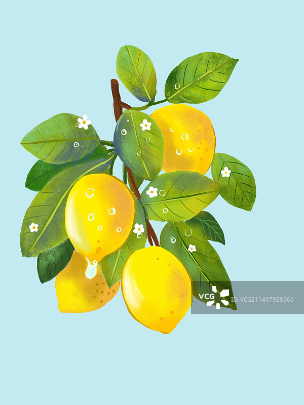 柠檬图片素材