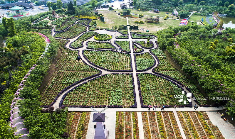 重庆垫江牡丹樱花世界景区图片素材