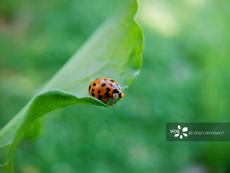 敢问路在何方图片素材