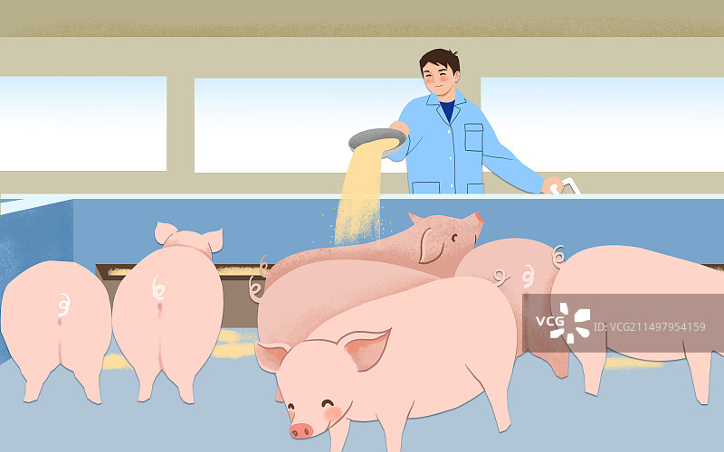 农民养猪插画图片素材