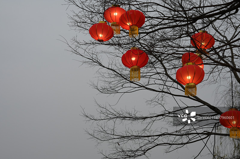 挂在树枝上的灯笼图片素材