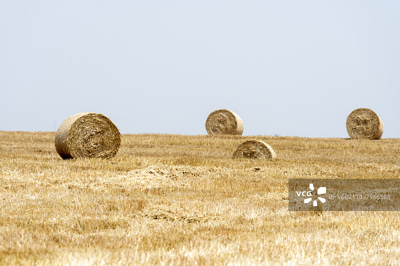 农业农田麦杆秸秆麦捆麦垛干草垛自然田园风光图片素材