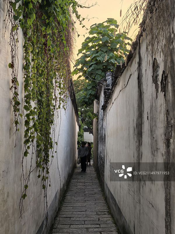 青果巷青果巷里的小弄堂图片素材