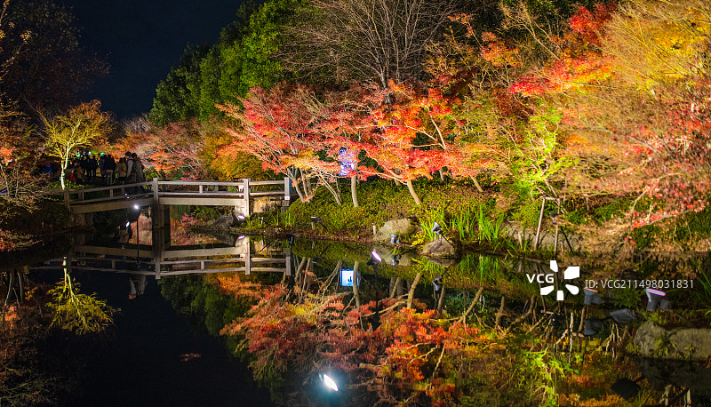 秋天枫叶季，日本三重县桑名市名花之里夜景图片素材