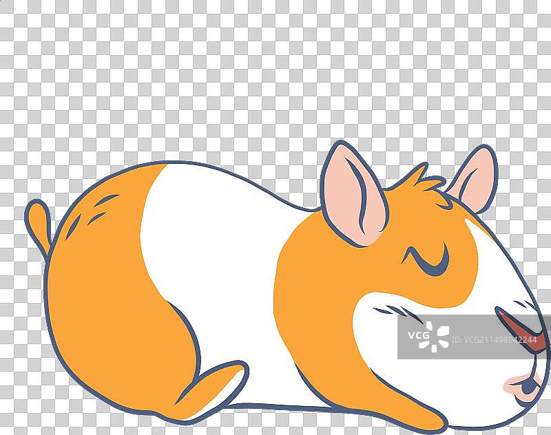 睡觉的豚鼠卡通图片素材