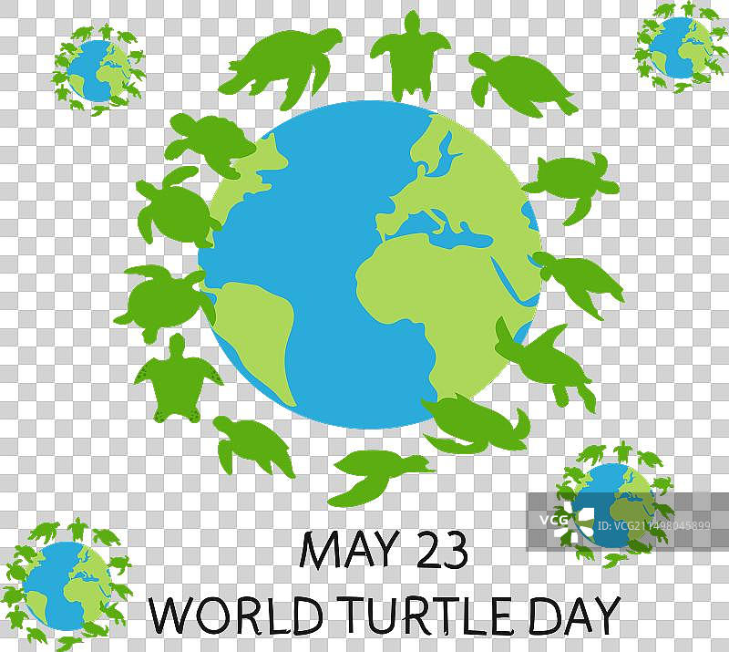世界海龟日图片素材