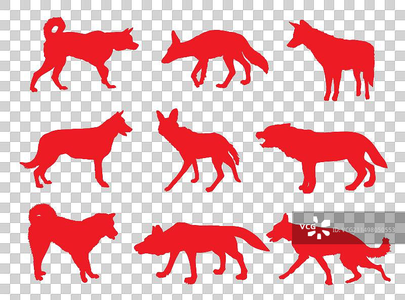 狼、土狼、胡狼和狗剪影合集图片素材