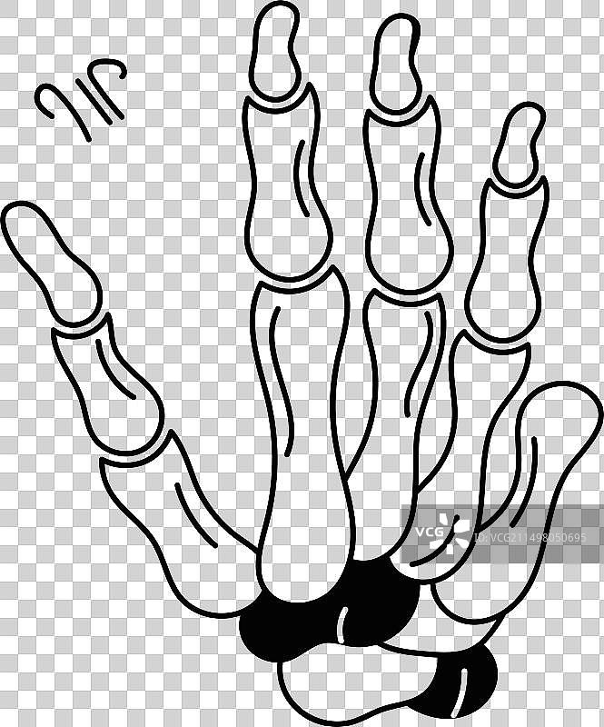 骨化手部图片素材