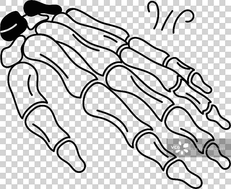 骷髅手腕图片素材