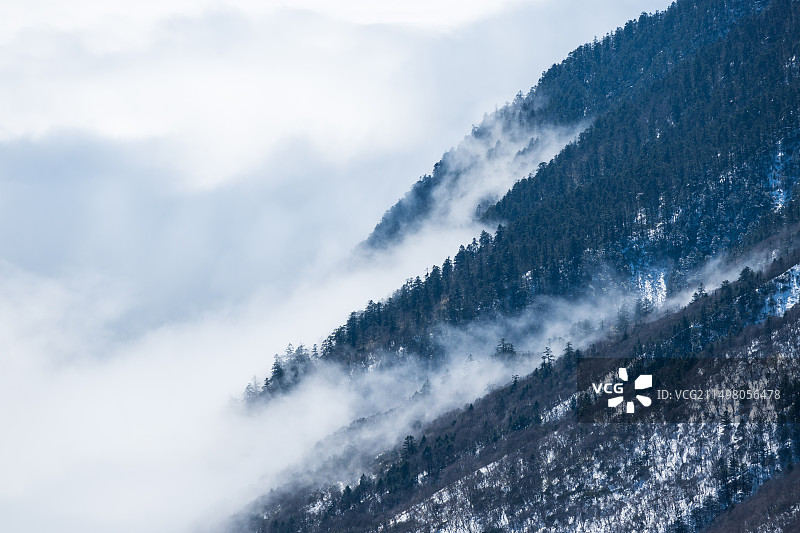 雪山雾凇 巴郎山-9图片素材