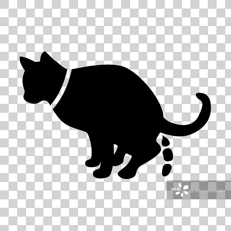 猫咪便溺图片素材