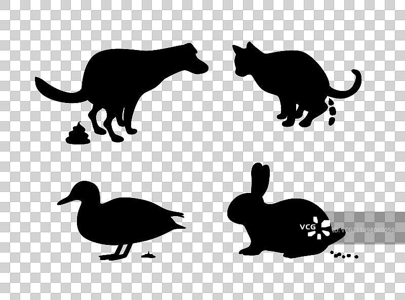宠物狗猫鸭兔排便动物图片素材