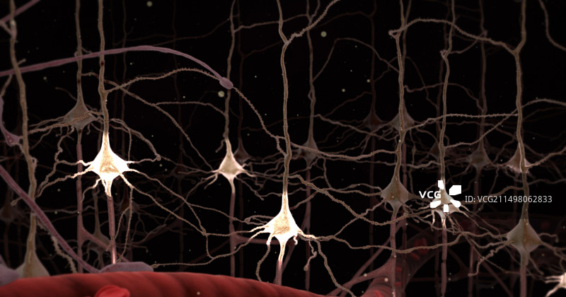 神经细胞插图图片素材