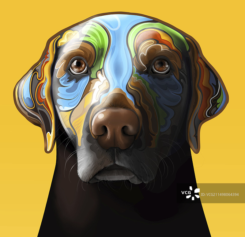 拉布拉多犬插画图片素材