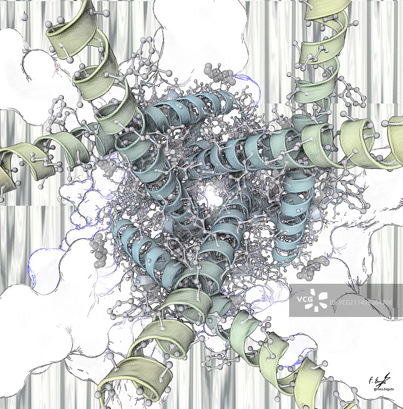 人类氯离子通道示意图图片素材