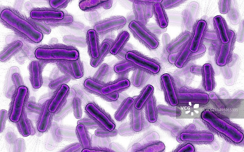 细菌,插图图片素材