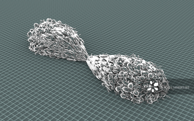 癌细胞分裂示意图图片素材