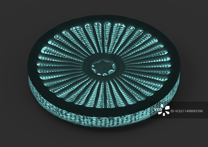 中心硅藻插画图片素材