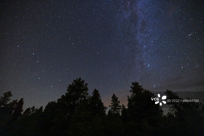 树木上的北斗七星和仙后座图片素材