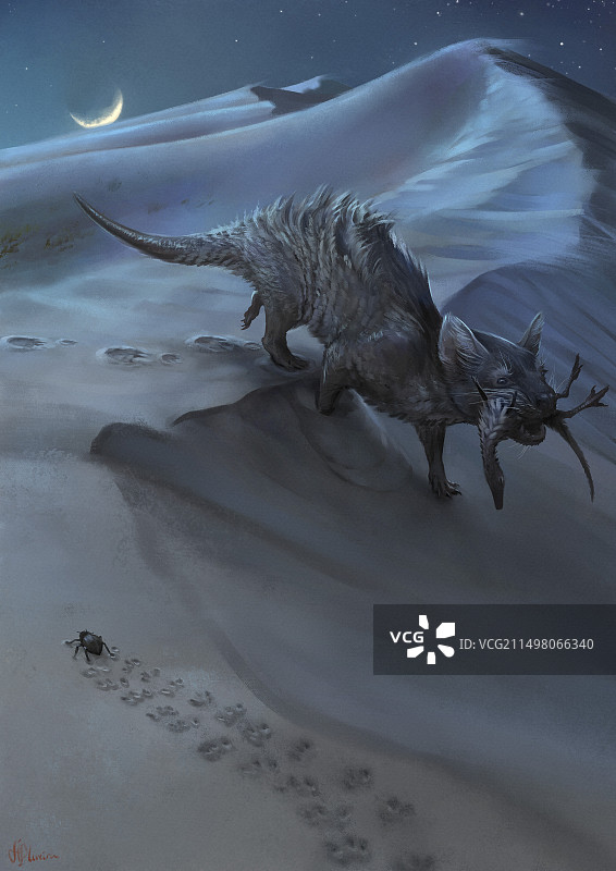 捕食猎物的似哺乳动物阿拉夸拉奇尼虫插画图片素材