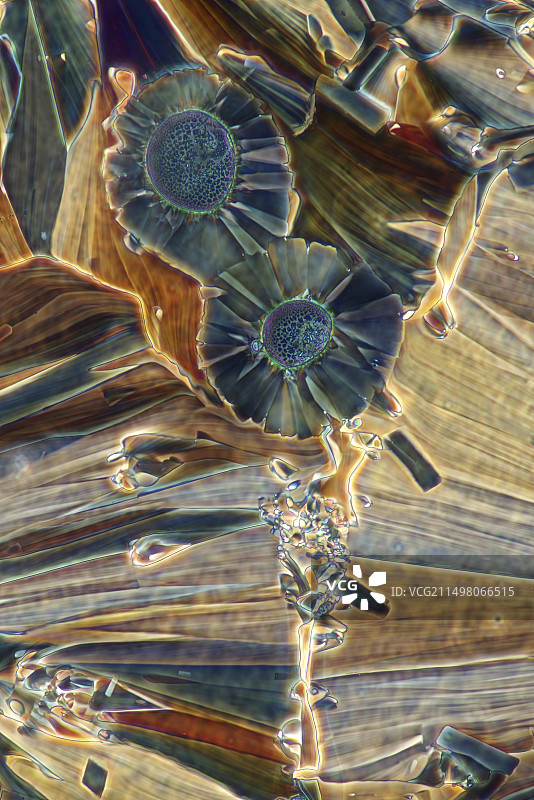 酒石酸晶体的显微照片图片素材