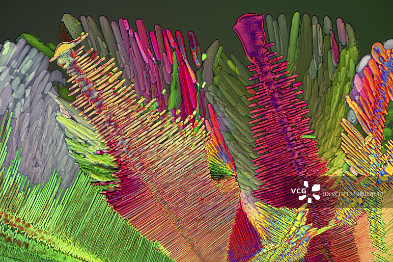 扑热息痛和间苯二酚晶体显微照片图片素材