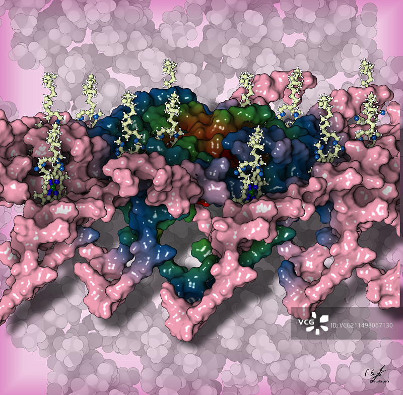 绿体基板示意图图片素材
