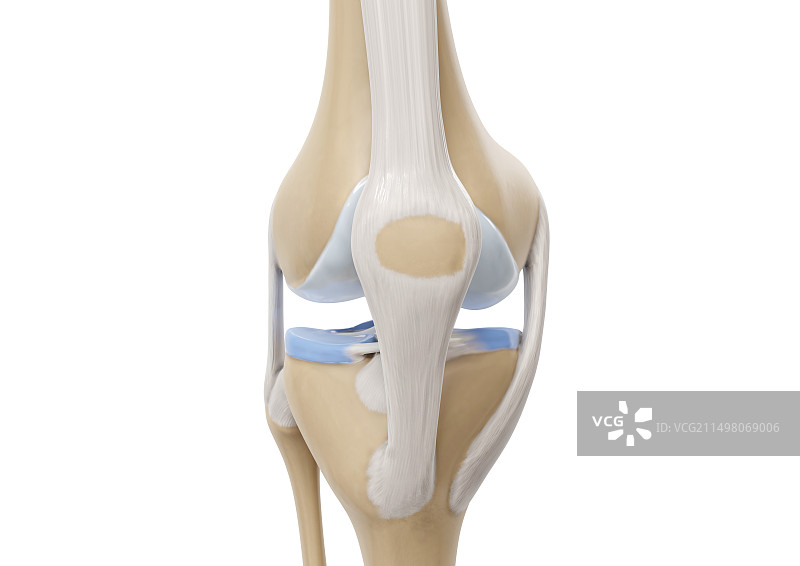 膝盖插图图片素材