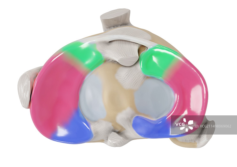 弯月面区域插图图片素材