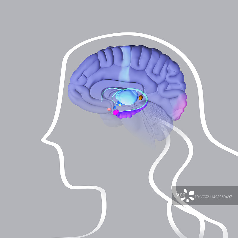 梦境中的大脑活动插图图片素材