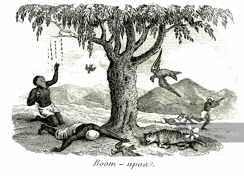 19世纪插图：树木使人类和动物中毒图片素材