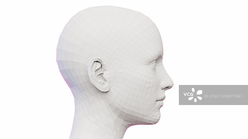 女人面部插画图片素材