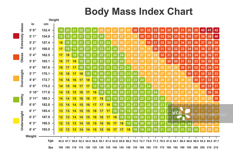身体质量指数图表插画图片素材