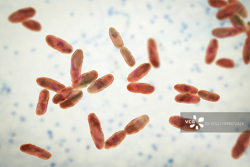 气单胞菌插画图片素材