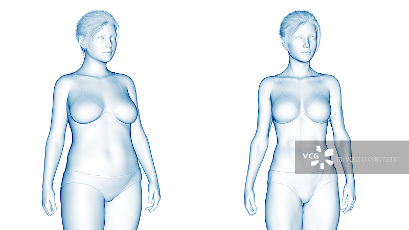 女性身体转变插画图片素材